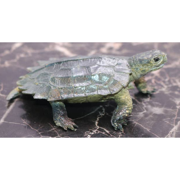 Notched Sea Turtle Figure Toy Sea Animal Marine Life Realistic Toy AAA - Picture 1 of 4